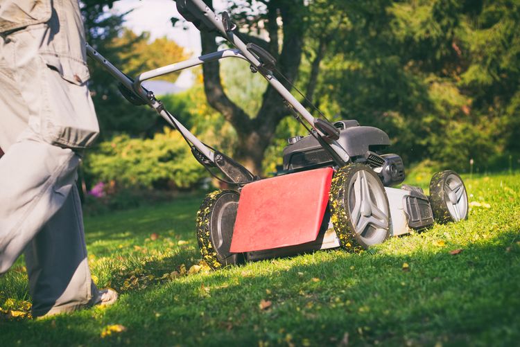 Výkon benzínové či elektrické sekačky je důležitý parametr