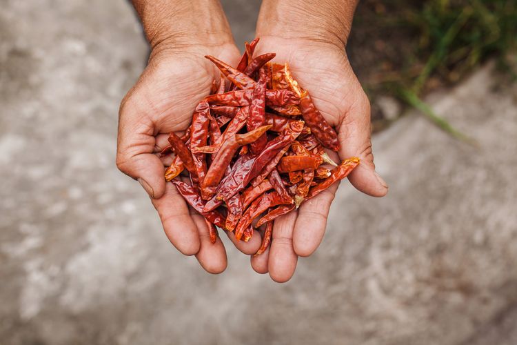 Chilli sušené na slnku