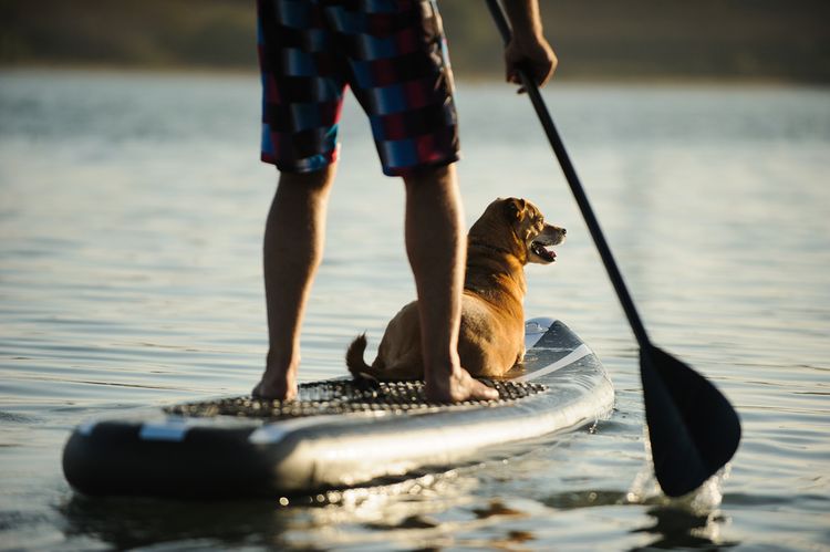 Paddleboard s pádlom